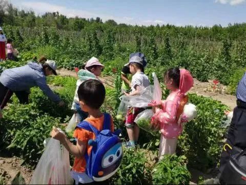 六一兒童節趣味團建活動方案，適合公司組織開展員工親子家庭日團建活動哦！